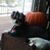 Elaine Clark's profile image