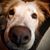 Becky Tanasse-Pascua's profile image