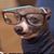 Kevin Verkest's profile image