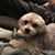 Marcella Diana Tompkins's profile image