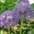 Linda Beeley Denison's profile image