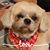 Lynn Johnson Stambough's profile image