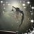 Linda Jeschke Wilkie's profile image