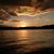 Susan Jones's profile image