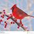 Kay Woolbright's profile image