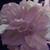 Marilyn Baker's profile image