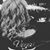 Cindy Rivas's profile image