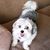 Kristin Garnos Lawson's profile image