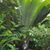 Gayle Wilkinson's profile image