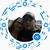 Renae Thigpen Landon's profile image