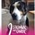 Cindi Cabral Feeley's profile image