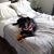 Michael Ethington's profile image