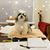 Sonny Ro's profile image