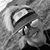 June Keogh Uhlig's profile image