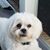Vicki Foster Waddell's profile image