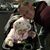 Rory Brown's profile image