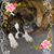 Jeannine Durham's profile image