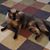 Maryann Richardson's profile image