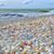 Patti Hodge Samuelson's profile image