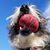 Jen Hughes's profile image