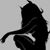 Shana Freedman's profile image