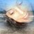 Nivian Calles's profile image