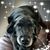 Jessica Thomas's profile image