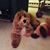 Gisele Marie's profile image