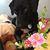 Melody Taylor's profile image