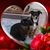 DebJo MSki's profile image