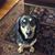 Ellen Collins Belfiore's profile image