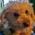 Paula Wilson's profile image