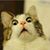 Gilbert Galvan's profile image