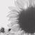 Joyce Mc Cullough Gregg's profile image