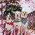 Deb Gueth Ketterer's profile image