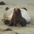 Maribeth Theisen's profile image