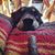 Marcus Engley's profile image