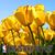 William Chien's profile image