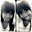 Neka Cattledge's profile image