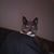 Barbara S. Daniels's profile image
