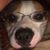 Renee Chappell's profile image