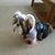 Ronald Herron's profile image