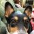 Amy King's profile image