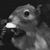Craig Smith's profile image