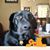 Jonathan Williams's profile image