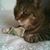 Betsy Kahn's profile image