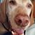 Linda Dressage's profile image