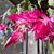 Michele Esmonde Coleman's profile image