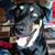 Mallea Johnson's profile image