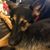 Patty Mola Eltman's profile image